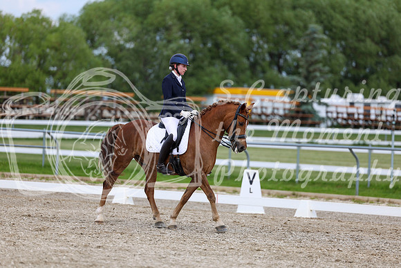 2025 - Dressage Festival - Saturday July 5th - 11856