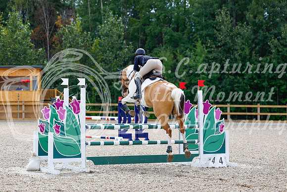 2025 - Haylee - Picco Horse Show - Sunday July 27th 04387