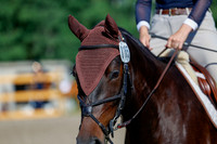2025 - Haylee - Picco Horse Show - Thursday July 24th 00460
