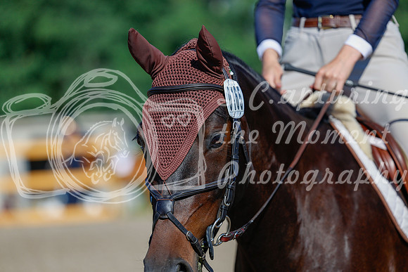 2025 - Haylee - Picco Horse Show - Thursday July 24th 00460