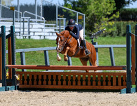 Pony