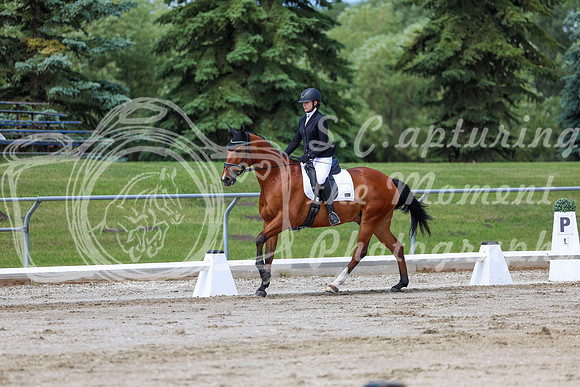 2025 - Dressage Festival - Saturday July 5th - 07373