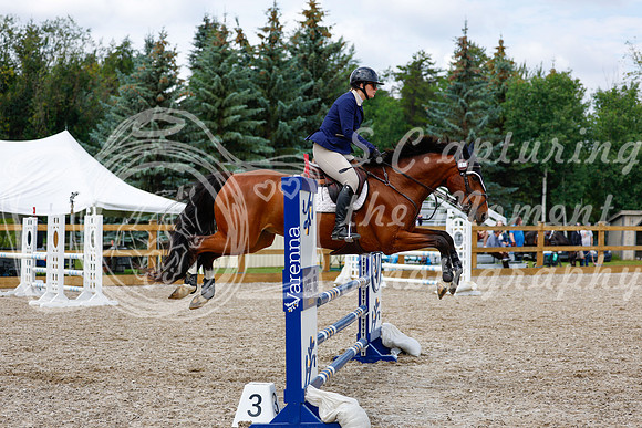 2025 - Haylee - Picco Horse Show - Saturday July 26th 06431