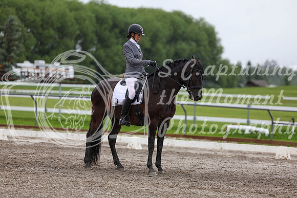 2025 - Dressage Festival - Sunday July 6th - 06981