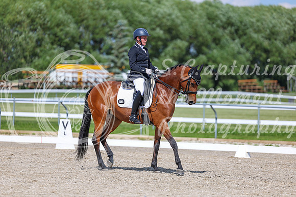 2025 - Dressage Festival - Saturday July 5th - 15518