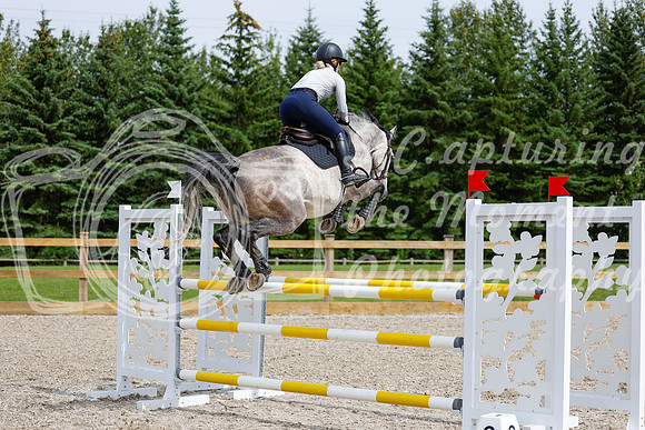 2025 - Haylee - Picco Horse Show - Friay July 25th 04408