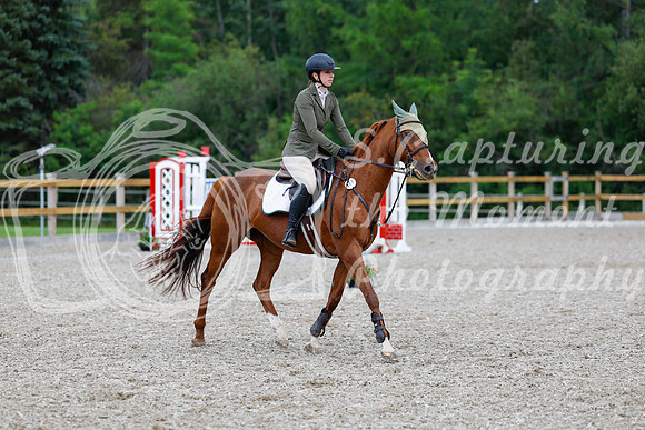 2025 - Haylee - Picco Horse Show - Sunday July 27th 03628
