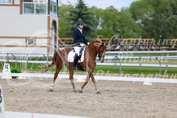 2025 - Dressage Festival - Saturday July 5th - 11812