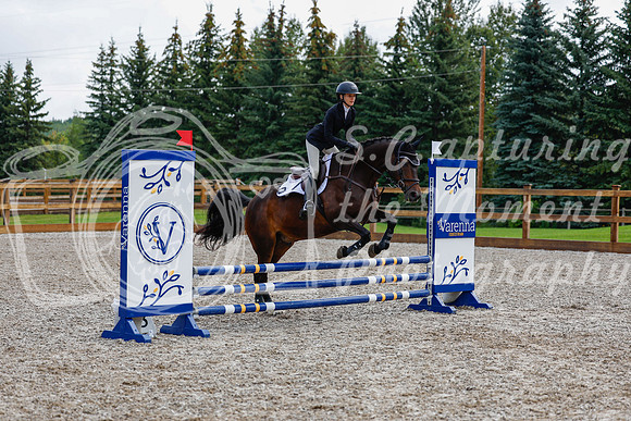 2025 - Haylee - Picco Horse Show - Sunday July 27th 02100