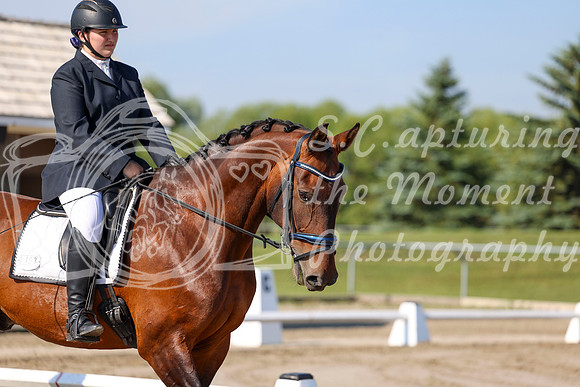 2025 - Dressage Festival - Saturday July 5th - 00966