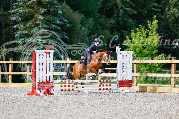 2025 - Haylee - Picco Horse Show - Friay July 25th 00654