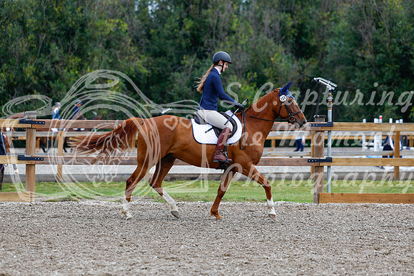 2025 - Haylee - Picco Horse Show - Saturday July 26th 01738