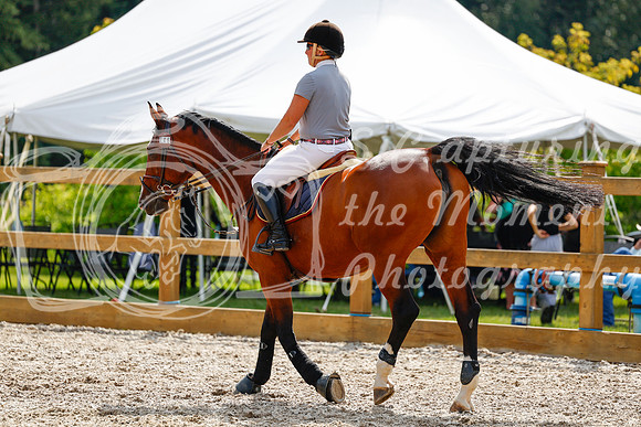 2025 - Haylee - Picco Horse Show - Saturday July 26th 08207