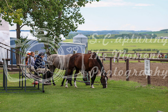 2025 - Shea - Teesdale - Thursday July 24th - 00006