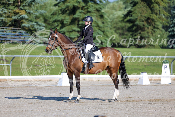2025 - Dressage Festival - Saturday July 5th - 00431