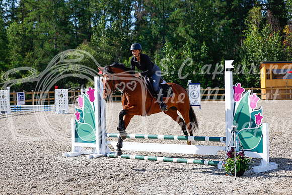 2025 - Haylee - Picco Horse Show - Thursday July 24th 00877