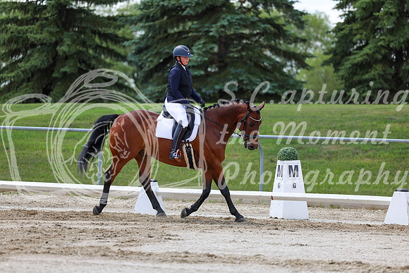 2025 - Dressage Festival - Saturday July 5th - 09737