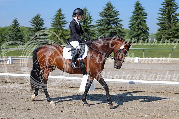 2025 - Dressage Festival - Saturday July 5th - 01250