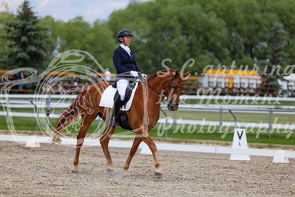 2025 - Dressage Festival - Saturday July 5th - 12468