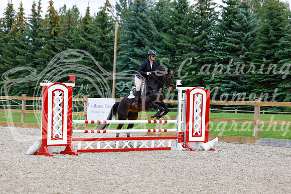 2025 - Haylee - Picco Horse Show - Saturday July 26th 05694
