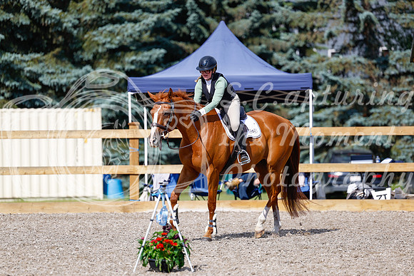 2025 - Haylee - Picco Horse Show - Thursday July 24th 01258