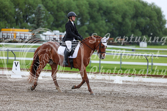 2025 - Dressage Festival - Sunday July 6th - 06088