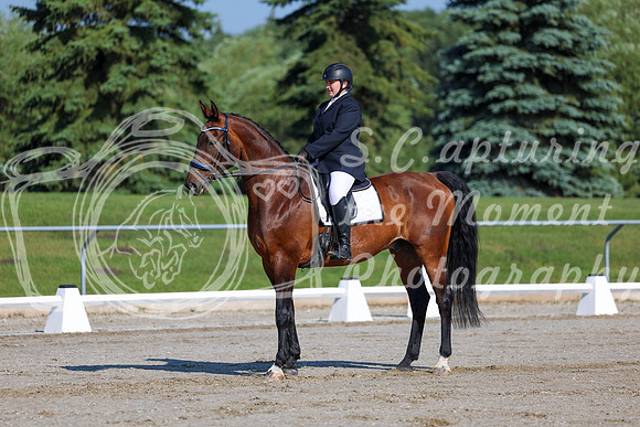 2025 - Dressage Festival - Saturday July 5th - 00978