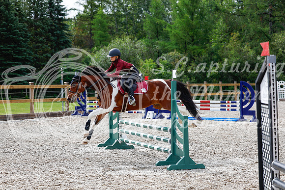 2025 - Haylee - Picco Horse Show - Friay July 25th 00882