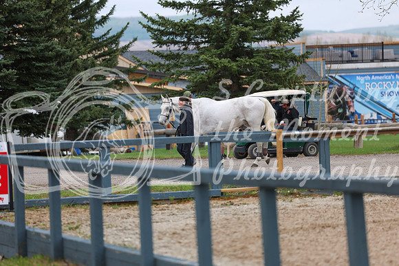 2025 - Shea - Bow Valley II - Friday May 16th - 00003