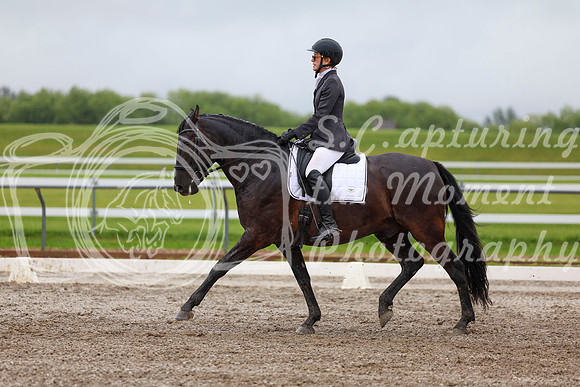 2025 - Dressage Festival - Sunday July 6th - 04560