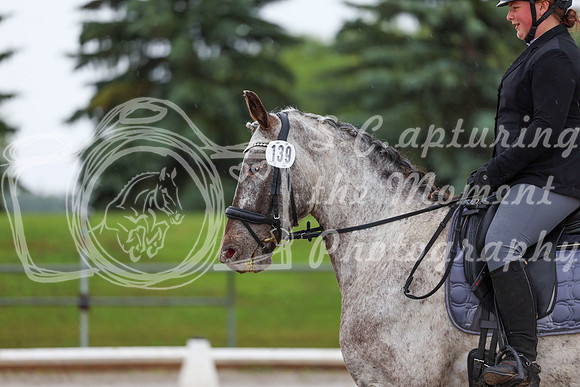 2025 - Dressage Festival - Sunday July 6th - 02302