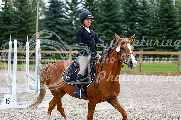 2025 - Haylee - Picco Horse Show - Saturday July 26th 02318