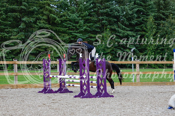 2025 - Haylee - Picco Horse Show - Sunday July 27th 03514