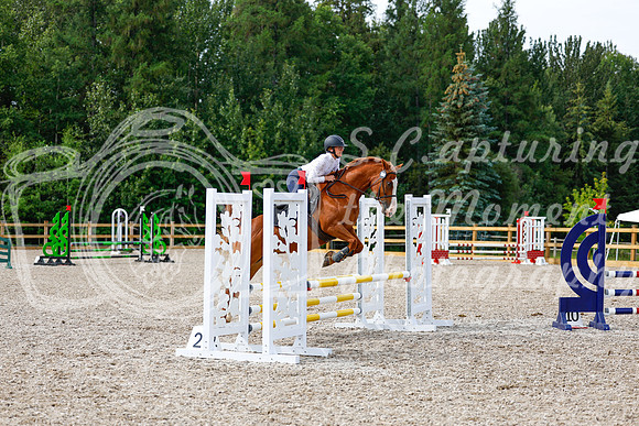 2025 - Haylee - Picco Horse Show - Thursday July 24th 01581