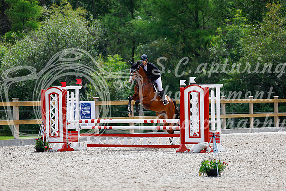 2025 - Haylee - Picco Horse Show - Sunday July 27th 03941