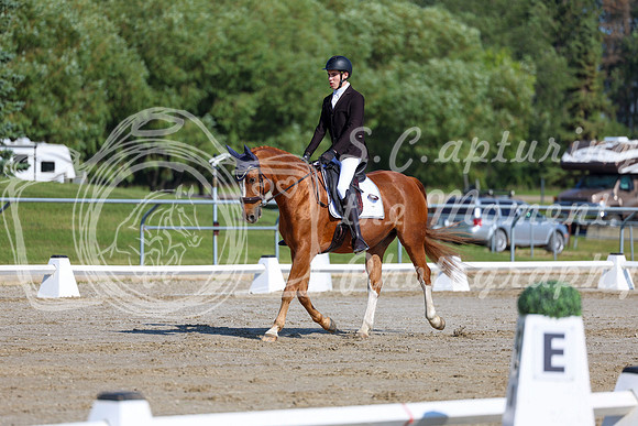 2025 - Dressage Festival - Saturday July 5th - 01649