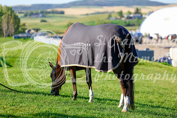 2025 - Haylee - Rocky Mountain Classic III - Thursday August 21st - 03105