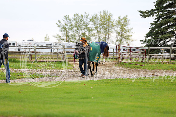 2025 - Shea - Bow Valley II - Friday May 16th - 00071