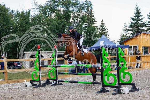 2025 - Haylee - Picco Horse Show - Sunday July 27th 04956