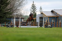 2025 - Shea - Bow Valley II - Saturday May 17th - 01777