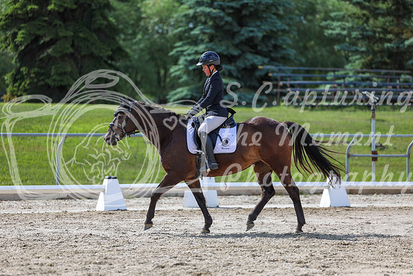 2025 - Dressage Festival - Saturday July 5th - 15503