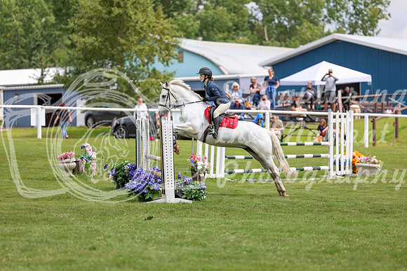 2025 - Shea - Teesdale - Friday July 25th - 06480