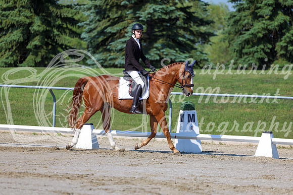 2025 - Dressage Festival - Saturday July 5th - 01704
