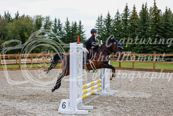 2025 - Haylee - Picco Horse Show - Friay July 25th 00404