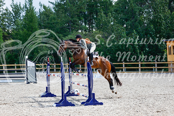 2025 - Haylee - Picco Horse Show - Sunday July 27th 05281
