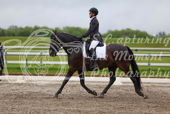 2025 - Dressage Festival - Sunday July 6th - 04563
