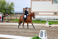 2025 - Dressage Festival - Sunday July 6th - 11699