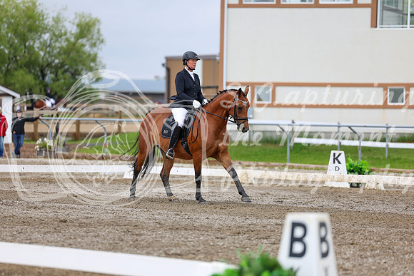 2025 - Dressage Festival - Sunday July 6th - 11699