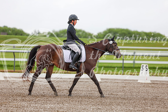 2025 - Dressage Festival - Sunday July 6th - 01641