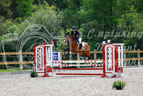2025 - Haylee - Picco Horse Show - Sunday July 27th 03948